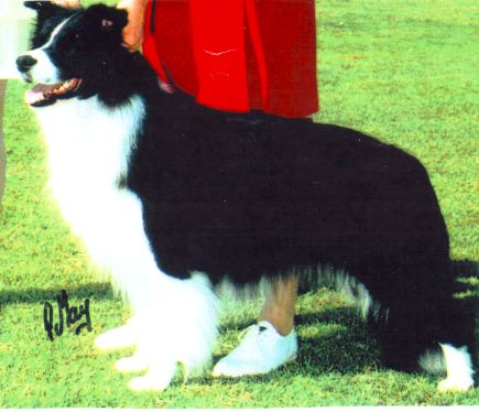 Jack