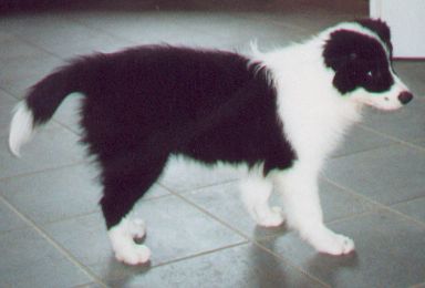 Mae 9 Wochen