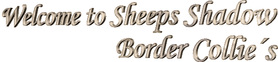 Border Coolie Homepage